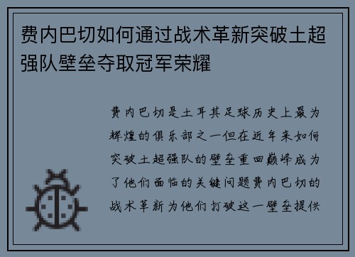 费内巴切如何通过战术革新突破土超强队壁垒夺取冠军荣耀 费内巴切如何通过战术革新突破土超强队壁垒夺取冠军荣耀